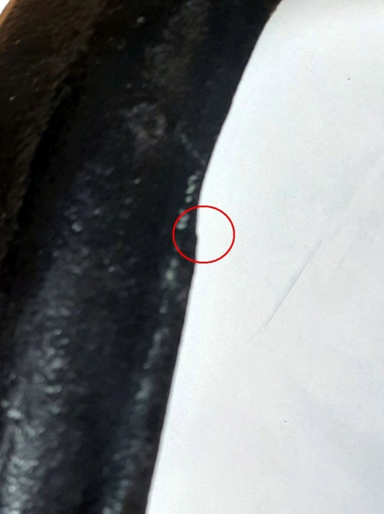 20260509_144013.jpg