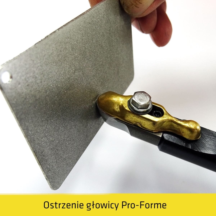 Glowica_proforme_c.jpg