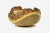 Robinia_miska_b.jpg