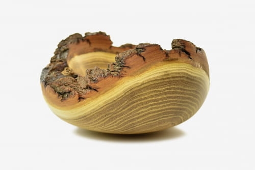 Robinia_miska_b.jpg