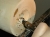 2176_termite_e.jpg