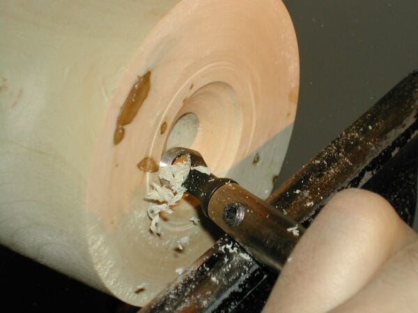 2176_termite_e.jpg