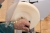 Little_Wonder_g.jpg
